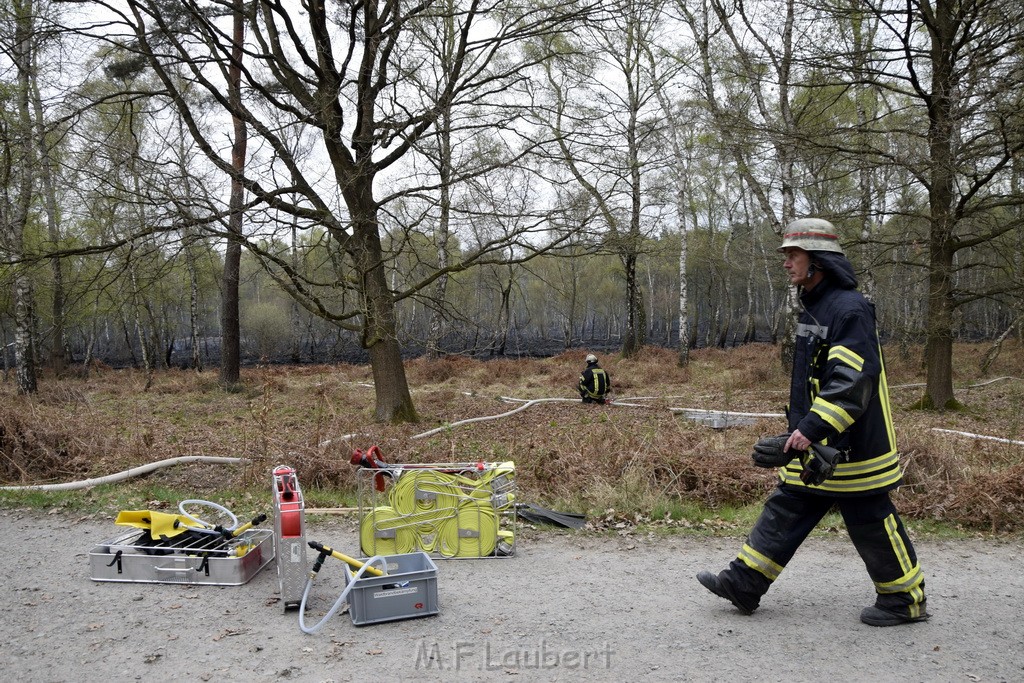 Waldbrand Wahner Heide Troisdorf Eisenweg P090.JPG - Miklos Laubert